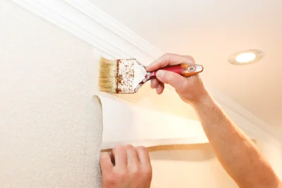Pose de papier peint à Myans — revêtements muraux et toiles de verre
